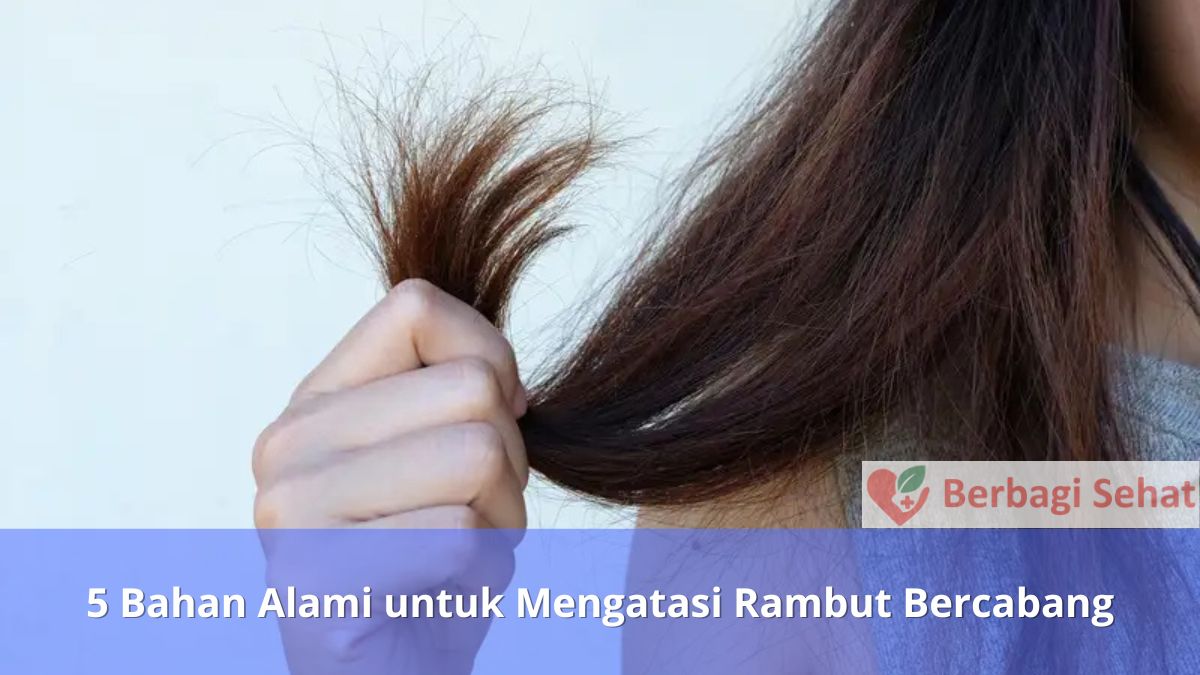 5 Bahan Alami untuk Mengatasi Rambut Bercabang