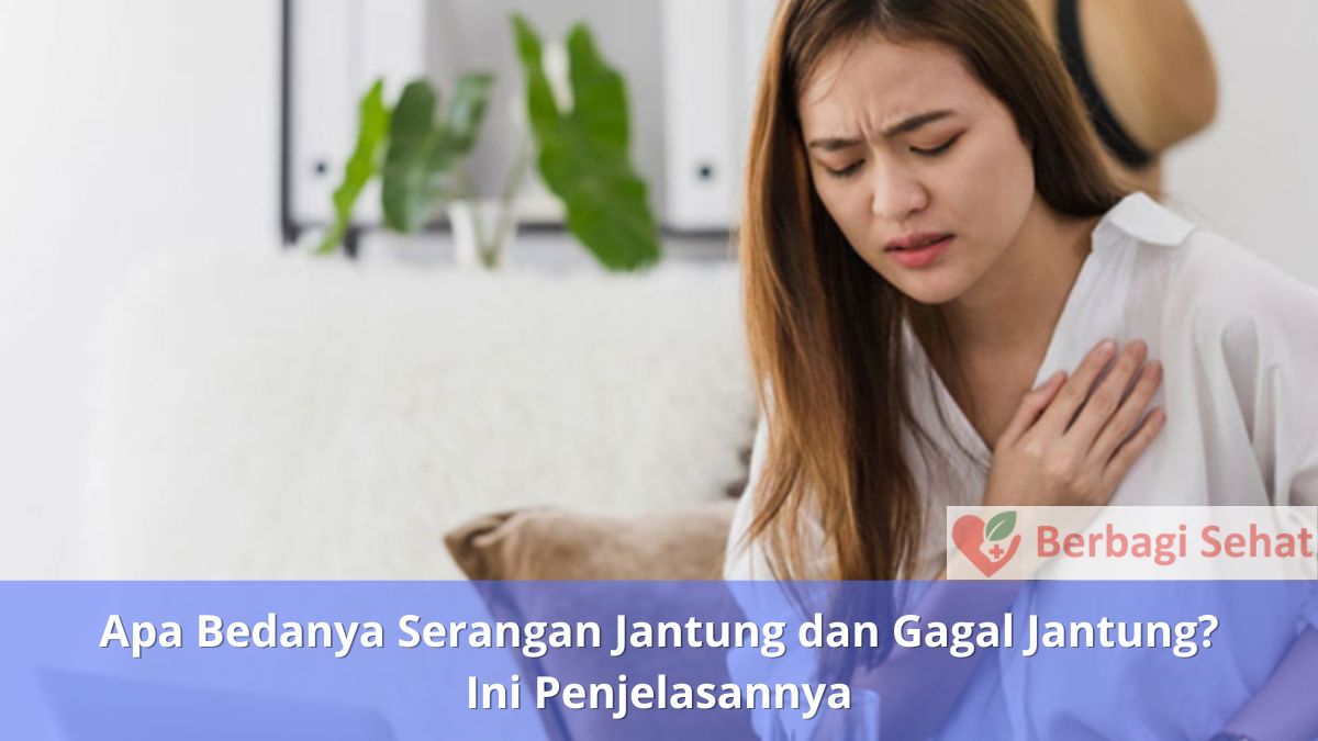 Apa Bedanya Serangan Jantung dan Gagal Jantung Ini Penjelasannya