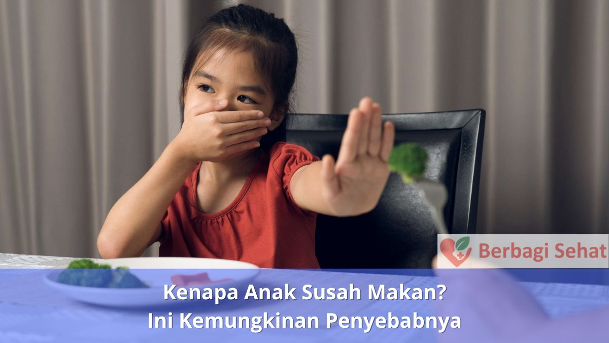 Kenapa Anak Susah Makan Ini Kemungkinan Penyebabnya